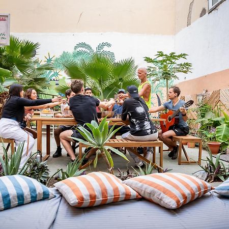 ラスパルマス・デ・グランカナリア Jungle Houseホステル エクステリア 写真